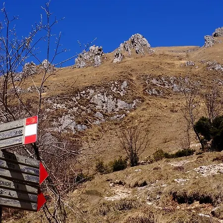 Rifugio Soldanella Hotel 3*